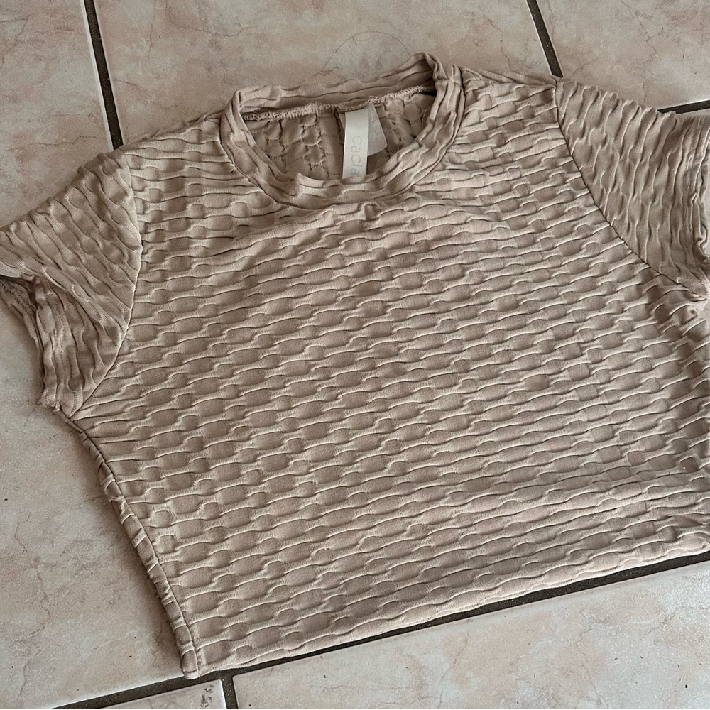 Elegant Beige Textured Crop Top